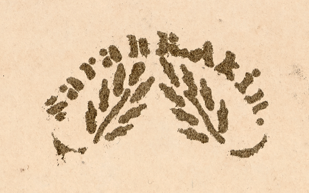 Detail of Sarah R. Akin's stamp on the inside cover of her manuscript atlas, printed sometime after she married in 1848