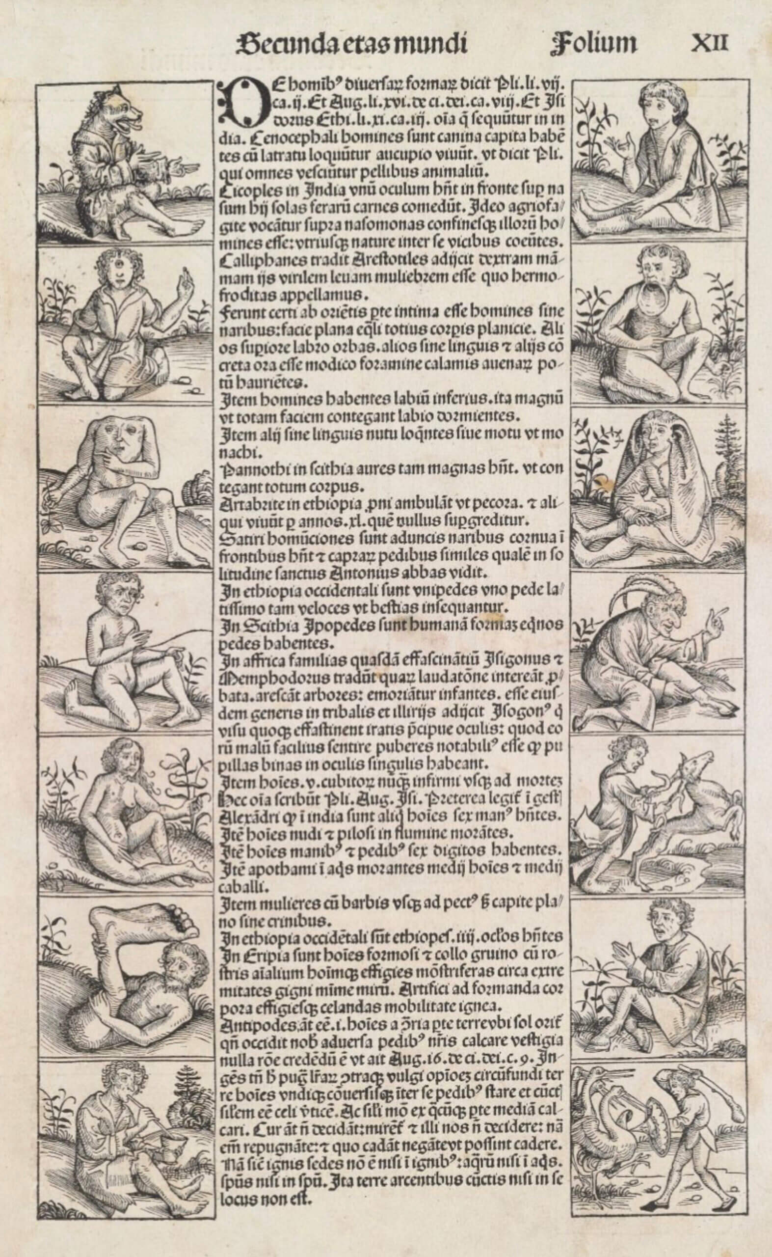 page of Nuremburg Chronicle showing a variety of 